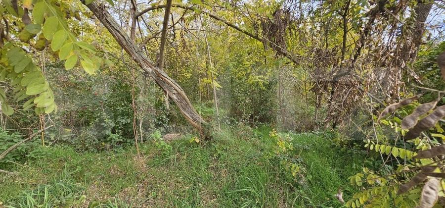 Teren Construcții intravilan de 1950 mp, în Gorgota