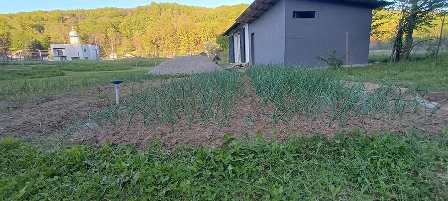 Casă cu 2 camere cu Teren 1030 Mp în Budeasa