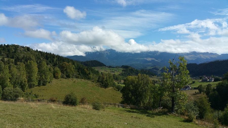 Teren agricol extravilan de 17537 mp, în Fundata
