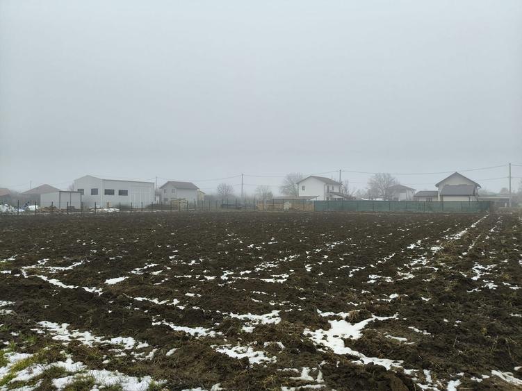 Teren Construcții intravilan de 1500 mp, în Moara Vlăsiei