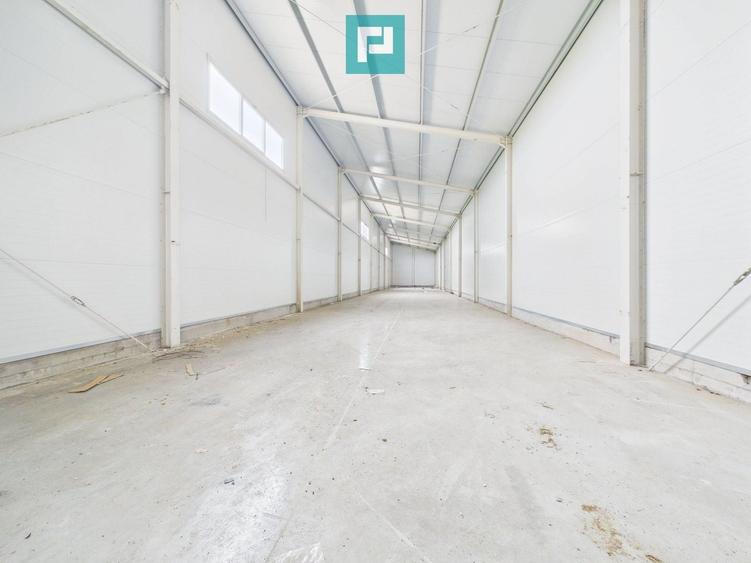 Spațiu industrial, de 563 mp, în Sânandrei