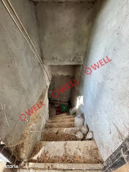 Casă cu Teren 8000 Mp în Cernat
