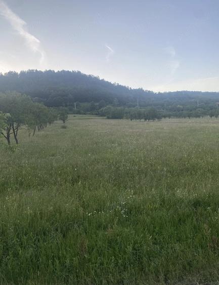 Teren de 2056 mp, în Mihăileni