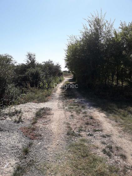 Teren intravilan de vanzare direct de la proprietar
