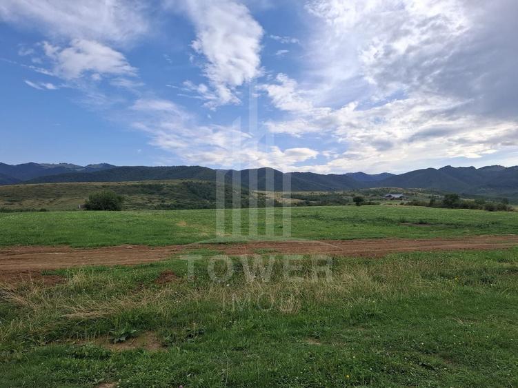 Teren agricol extravilan de 1500 mp, în Orlat