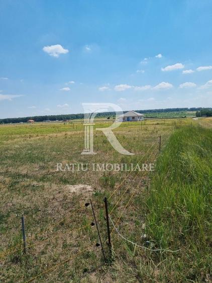 Teren Construcții intravilan de 608 mp, în Cihei