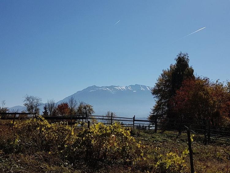 Spațiu comercial, în Central