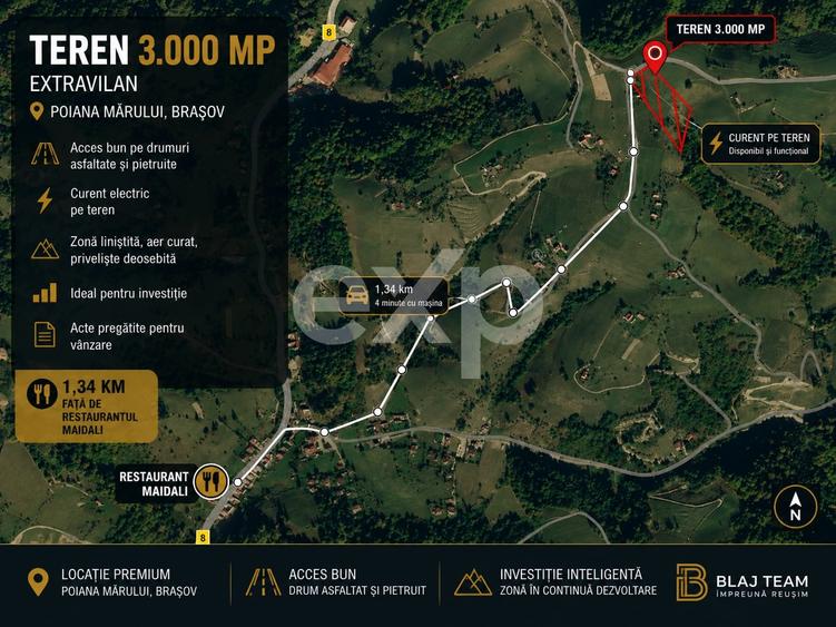 Teren Construcții extravilan de 3000 mp, în Poiana Mărului
