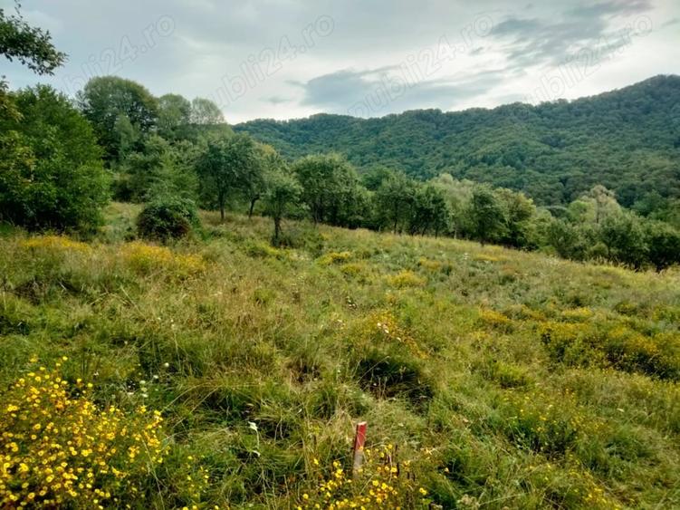 Teren de 1400 mp, în Central