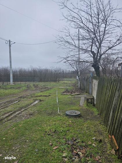 Comuna Valcelele, Strada Mircea cel Batran, Jud. Calarasi - 4