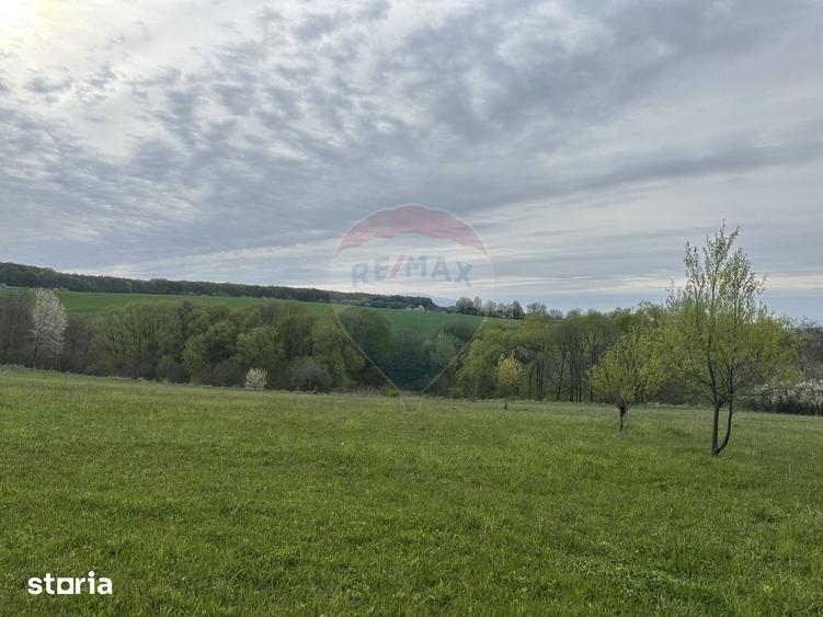 Teren de 3000 mp, în Bodești