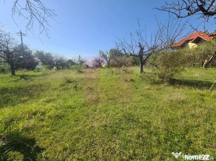 Teren de 2500 mp, în Voila