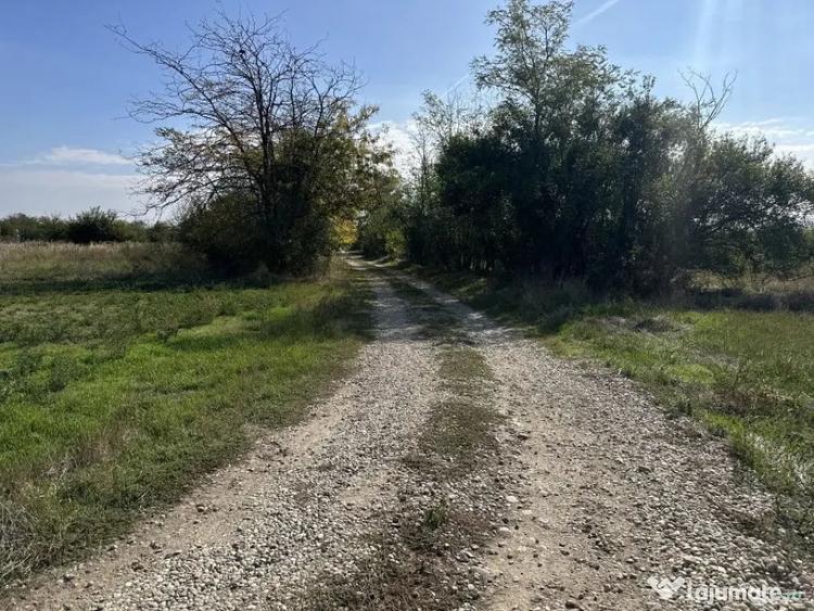 Teren Intravilan com. Ratesti - 3