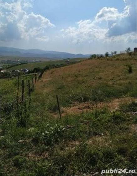 Teren de 5200 mp, în Central