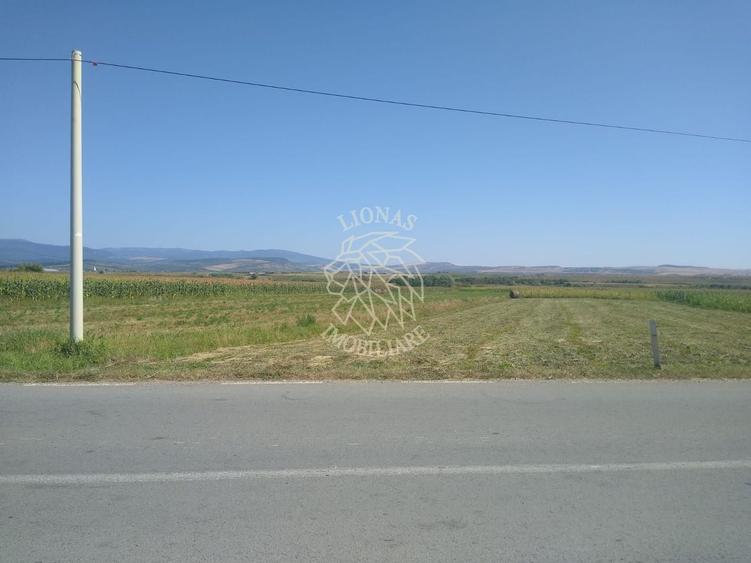 Teren agricol extravilan de 20000 mp, în Jelna