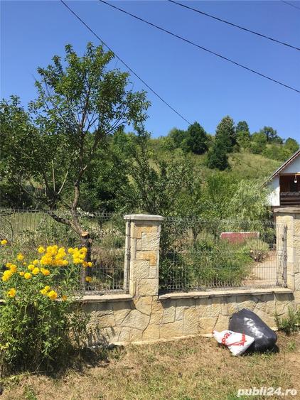 Teren de 4364 mp, în Șerpeni