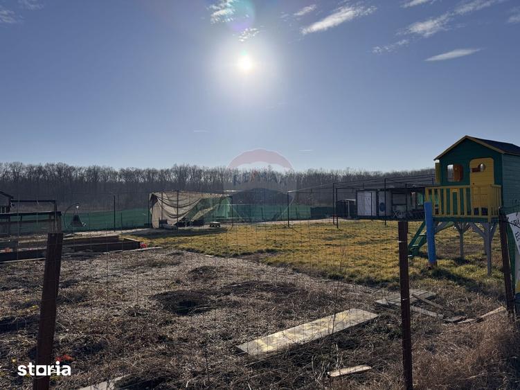Teren intravilan de vanzare 1000 mp Baneasa sector 1 - 8