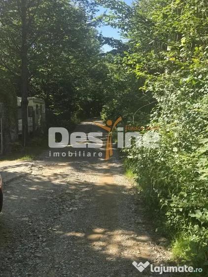 Teren în Teșila