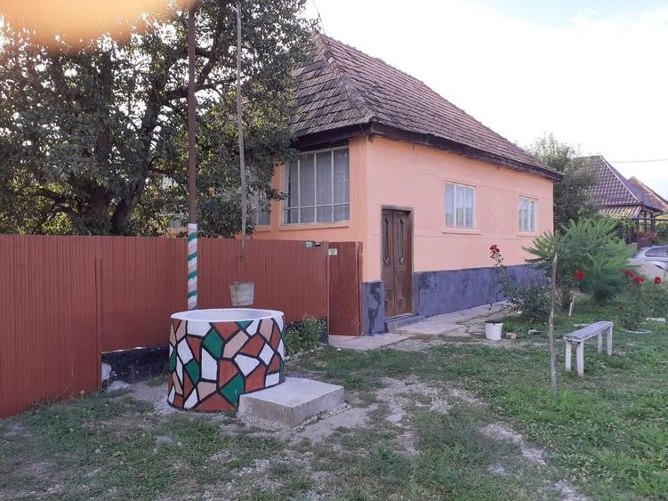 Casă cu 4 camere în Dipșa
