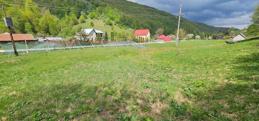 Teren de 2450 mp, în Bulz