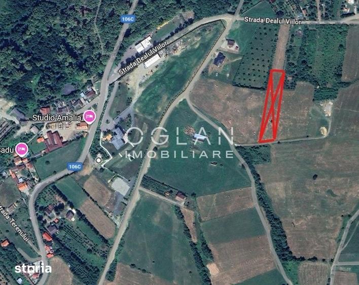 Teren Tocile (parcelabil) 3500 mp - 19