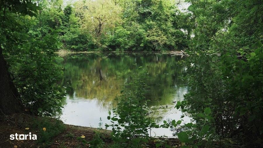 Teren de 63000 mp, în Vânătorii Mici