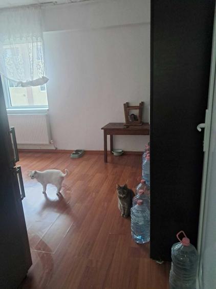 Garsonieră în Doicești