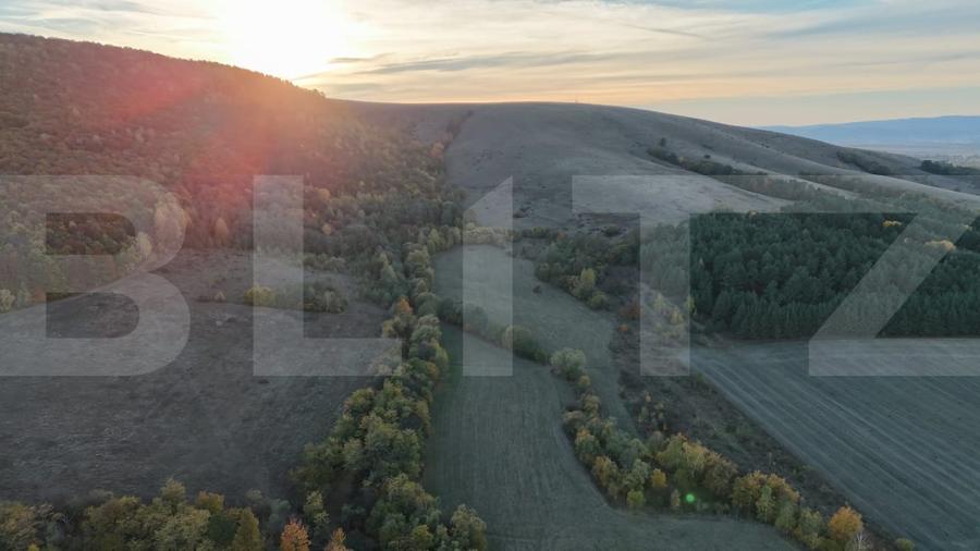 Teren agricol extravilan de 36200 mp, în Măgheruș