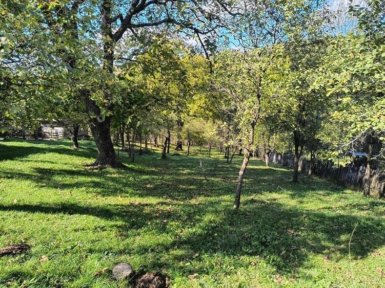 Teren de 3163 mp, în Brebu