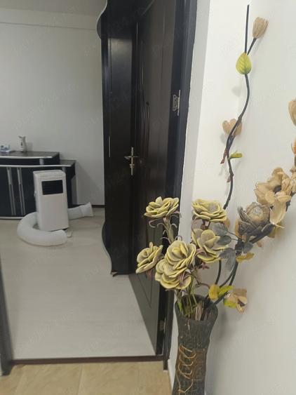 Apartament cu 2 camere decomandat în Exercițiu