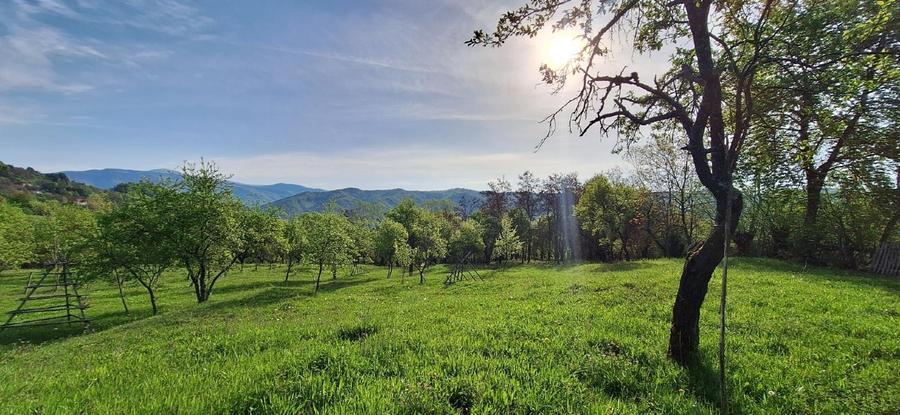 Teren agricol extravilan de 4445 mp, în Nucșoara