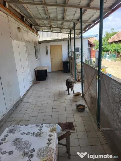 Casă cu 4 camere în Banloc