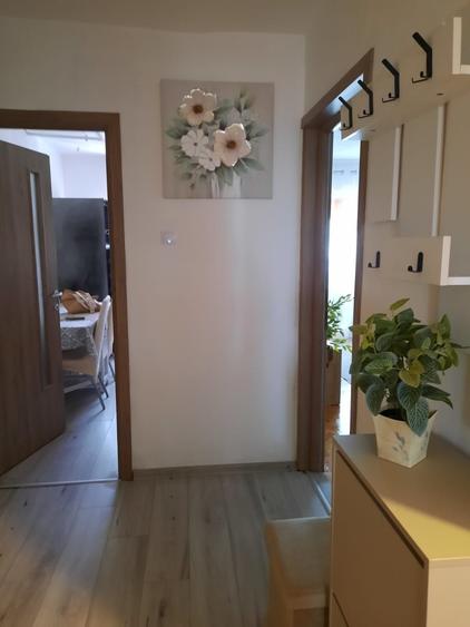 Apartament cu 3 camere decomandat în Sub Arini