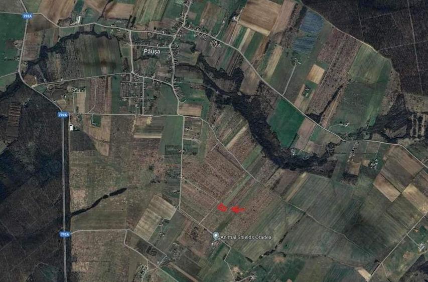 Teren de 1000 mp, în Păușa