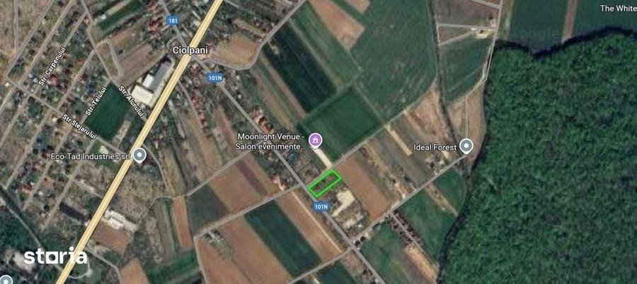 Teren de 500 mp, în Ciolpani