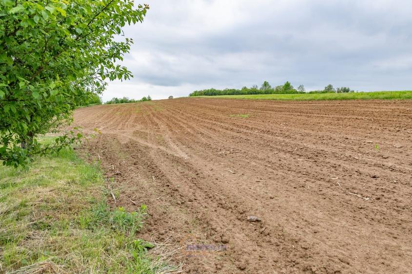 Teren Construcții intravilan de 13434 mp, în Ardeoani