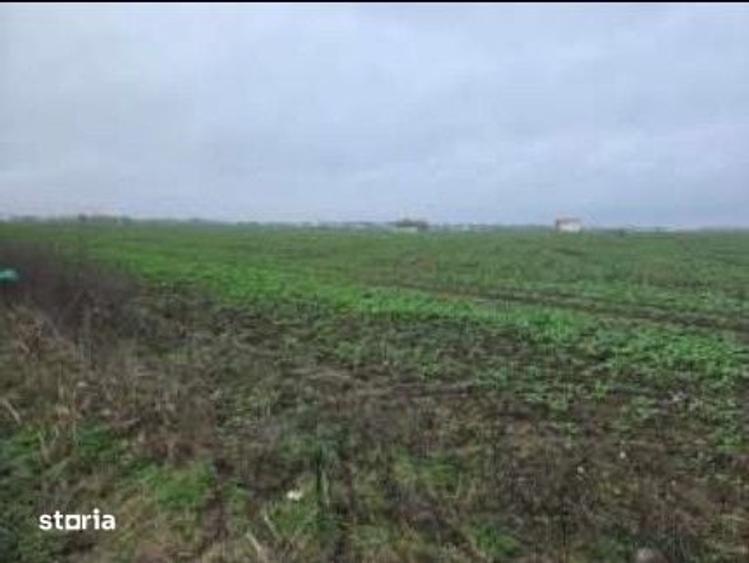 Teren de 4000 mp, în Tunari