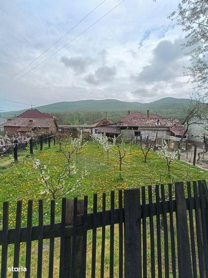 Casă cu 3 camere cu Teren 1708 Mp în Ampoița