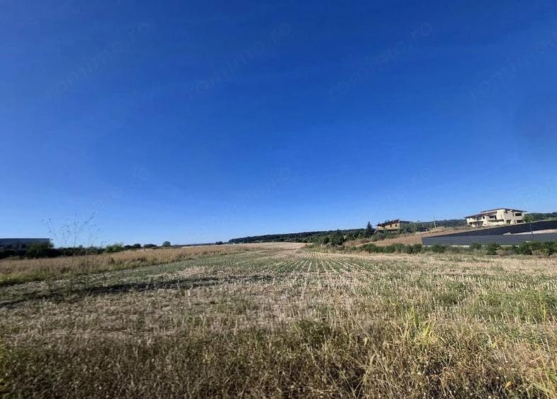 Teren de 3451 mp, în Ciolpani