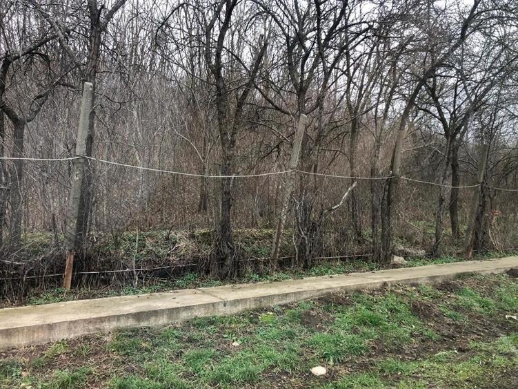 Teren de 3478 mp, în Viișoara