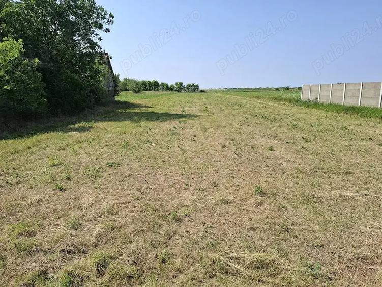 Teren de 3007 mp, în Cenei
