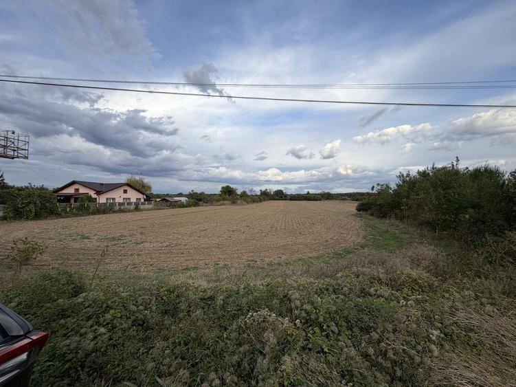 Teren 5.000 mp DN1 intravilan, intrare in Potigrafu, sens BucurestiPloiesti - 1