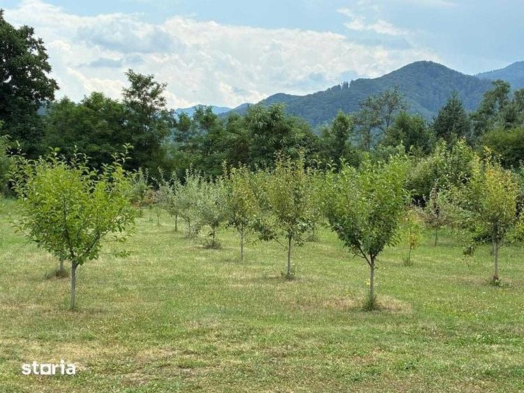 Teren de 2000 mp, în Bistrița