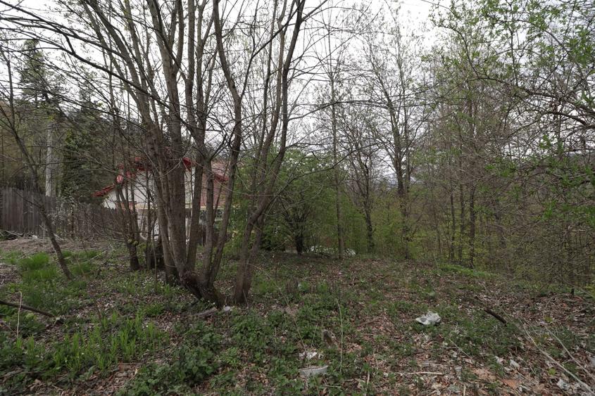 Teren Construcții intravilan de 1346 mp, în Castelul Peleș