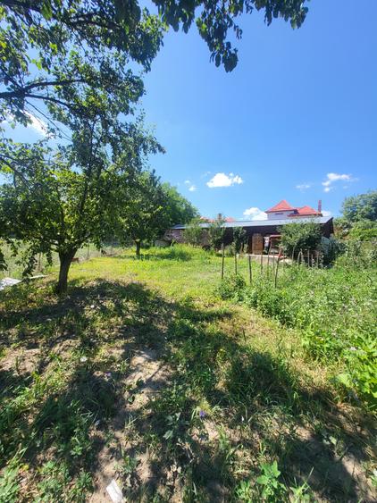 Casă individuală cu 6 camere cu Canalizare în Mociu