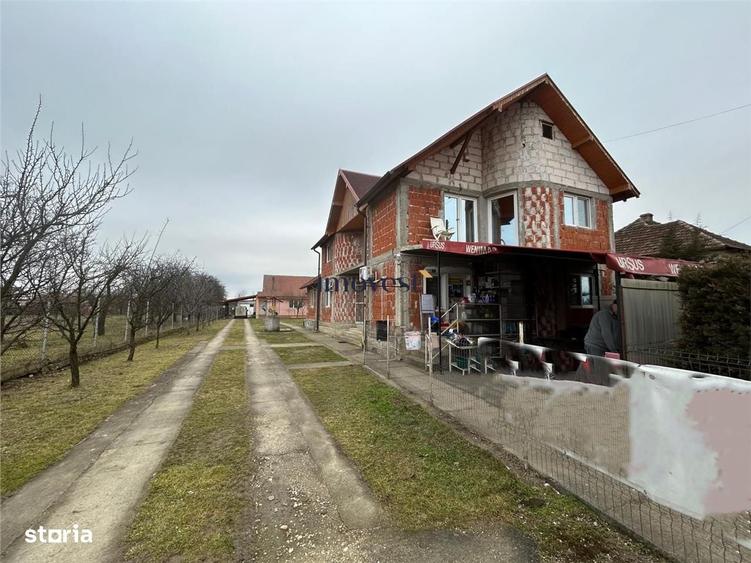 Casa de vanzare in Iojib, Satu Mare | 2 Case + Spatiu Comerc - 14
