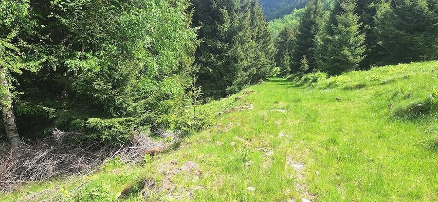 Teren de 300 mp, în Râu de Mori