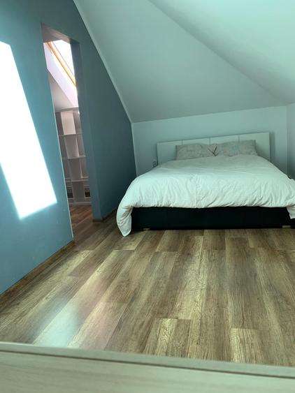Inchiriez apartament pet friendly - 5