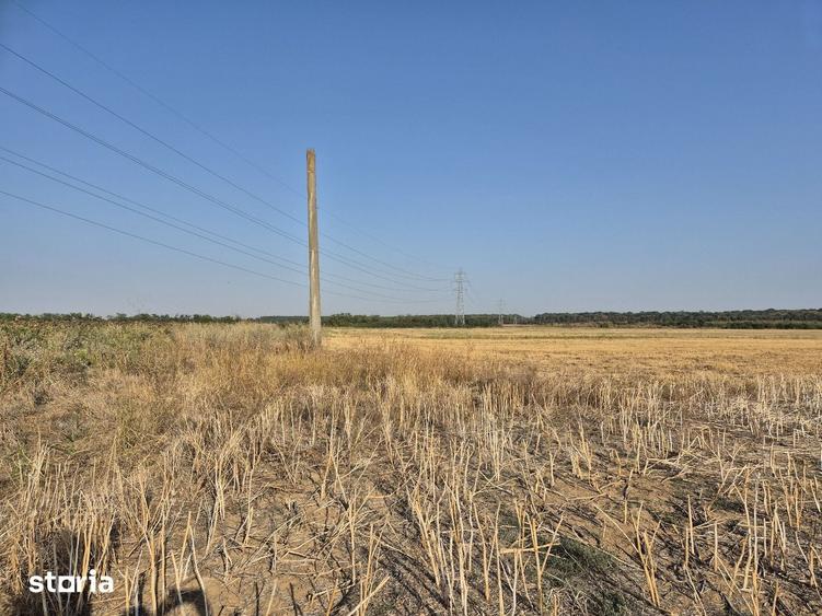 Teren de 22400 mp, în Periș