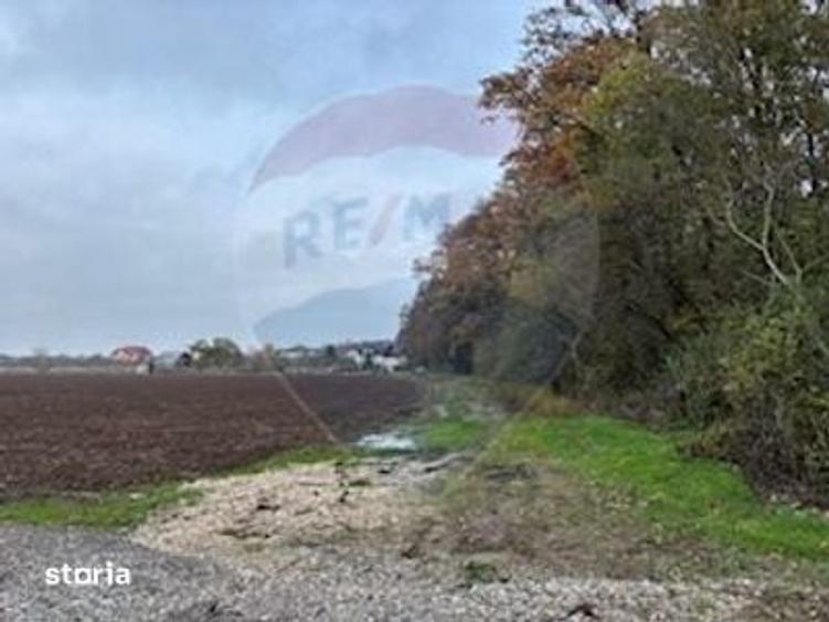 Teren Snagov /Soseaua Vladiceasca 553 sau 1109 mp Liziera Padurii - 5